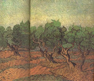 Vincent Van Gogh Olive Grove (nn04) china oil painting image